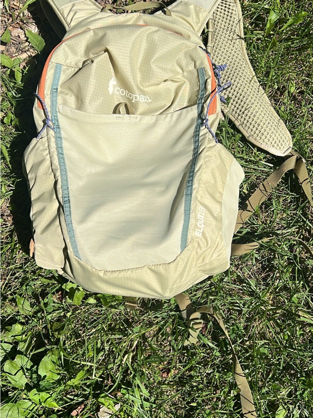 Cotopaxi Light Olive Daypack with purple and Orange Accents